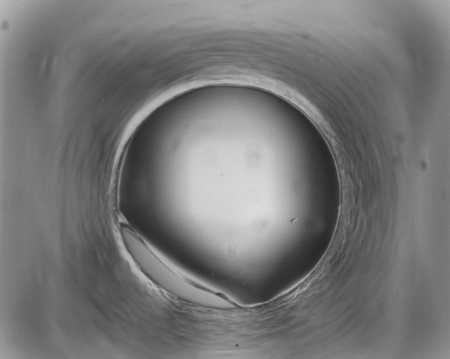 X0000085001536200703191037