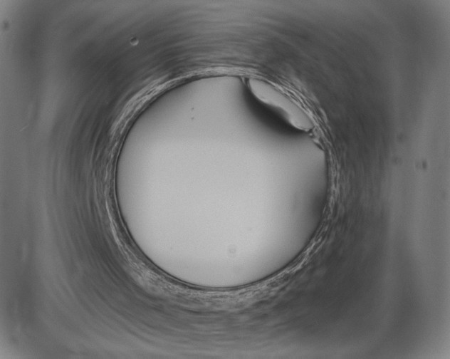 X0000085000001200703261141