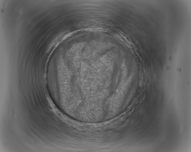 X0000085000002200703261141