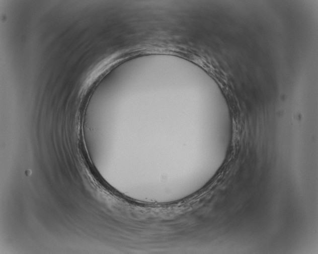 X0000085000005200703261141