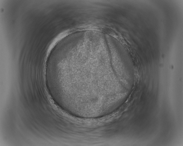 X0000085000006200703261141