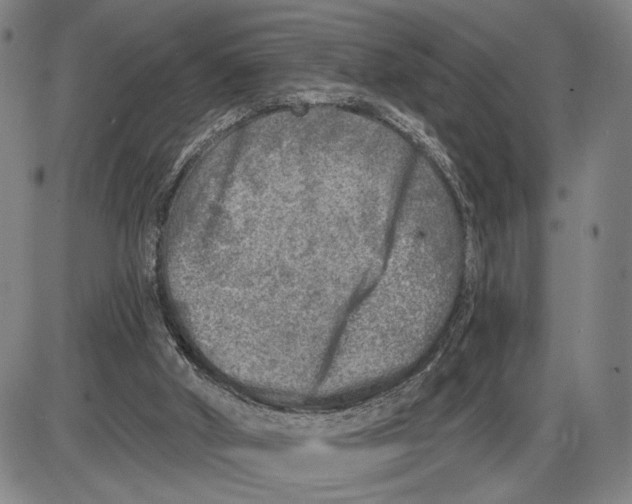 X0000085000010200703261141