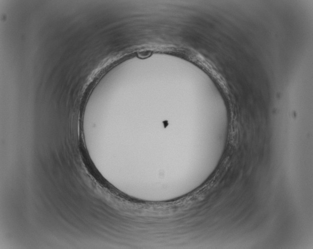 X0000085000011200703261141