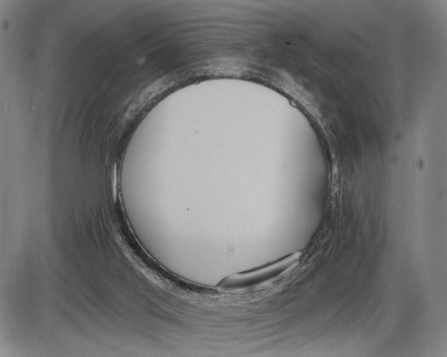 X0000085000013200703261141