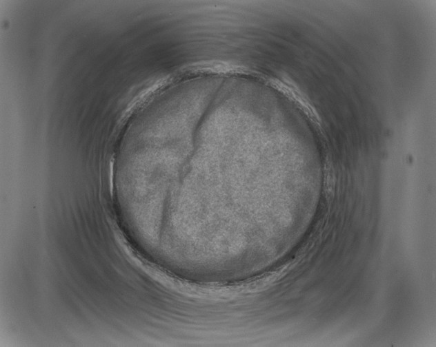 X0000085000014200703261140