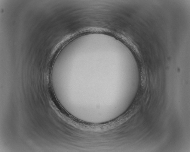 X0000085000015200703261140