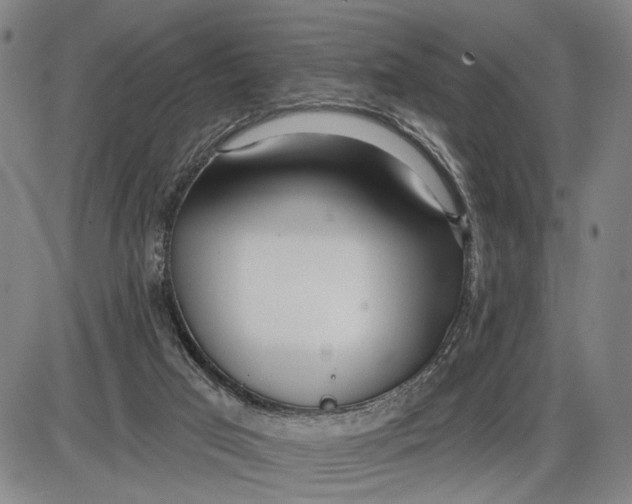 X0000085000017200703261140