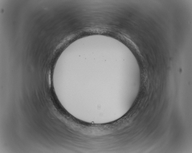 X0000085000020200703261140