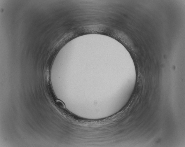 X0000085000021200703261140