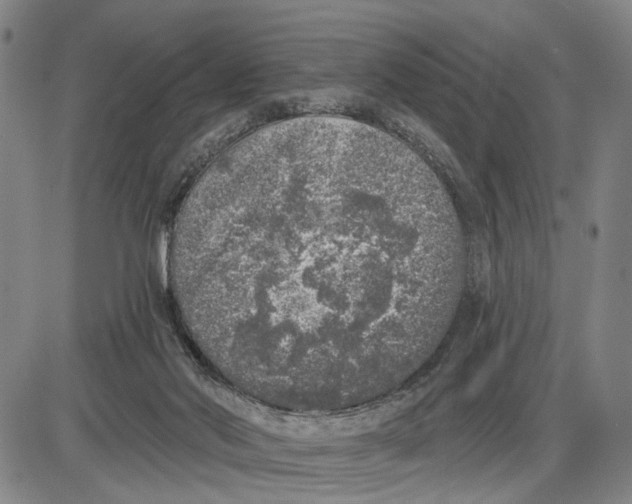 X0000085000022200703261140