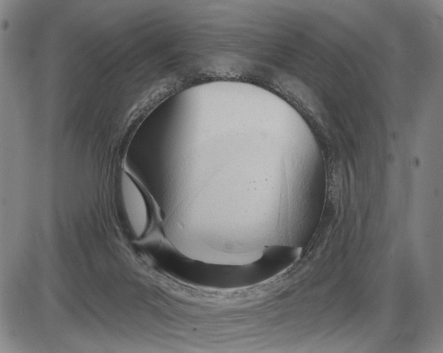 X0000085000023200703261140