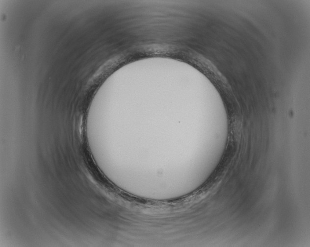 X0000085000024200703261140