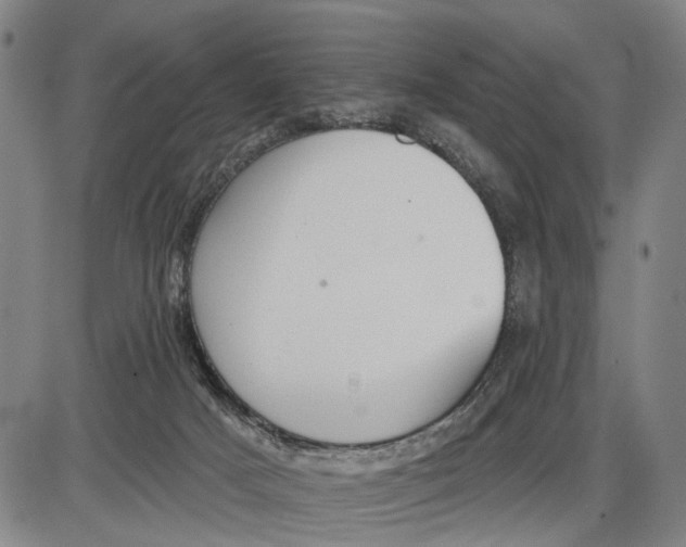 X0000085000025200703261140