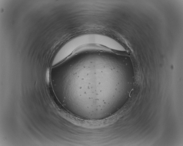 X0000085000027200703261140