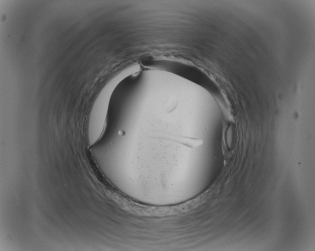 X0000085000031200703261140