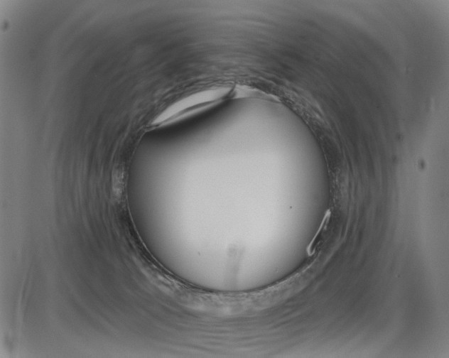 X0000085000033200703261140