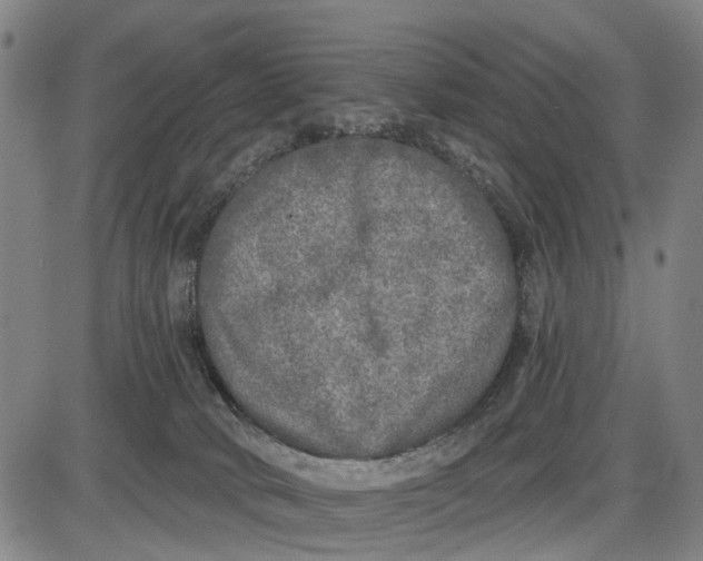 X0000085000034200703261140