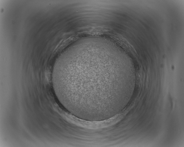 X0000085000035200703261140