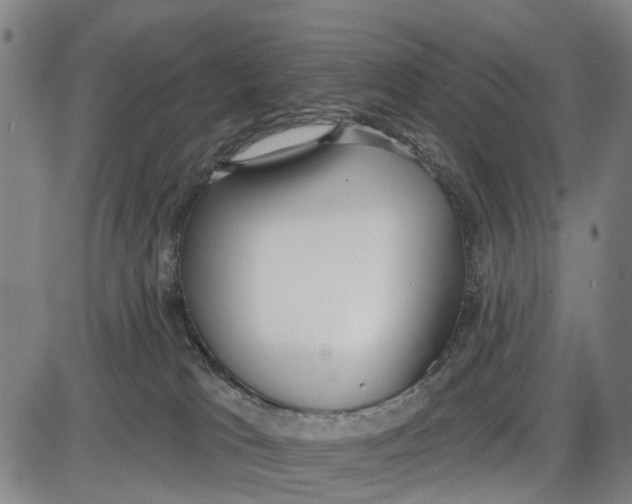 X0000085000037200703261140