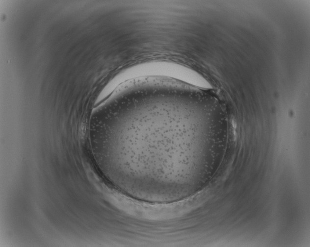 X0000085000039200703261140