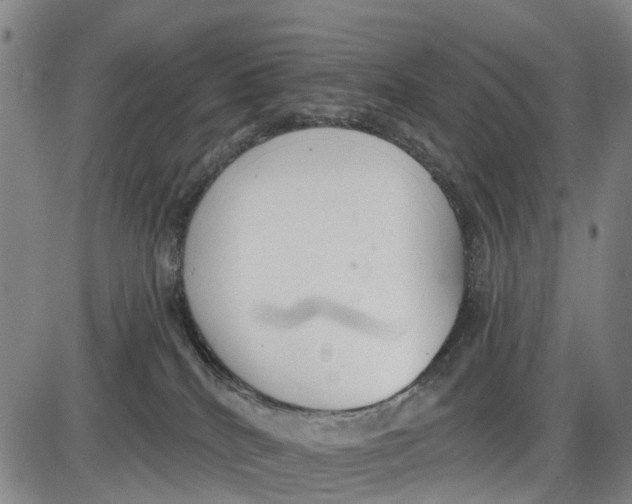 X0000085000040200703261140