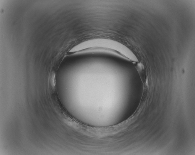 X0000085000041200703261140