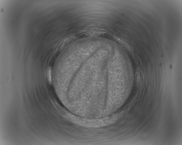 X0000085000042200703261140