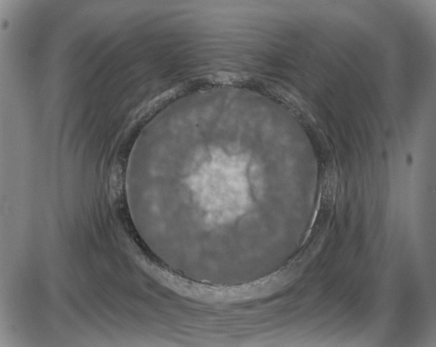 X0000085000043200703261140