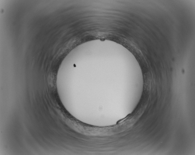 X0000085000044200703261140