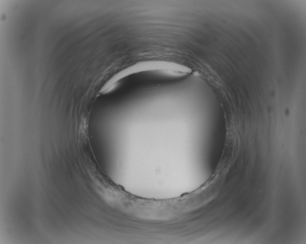 X0000085000045200703261140