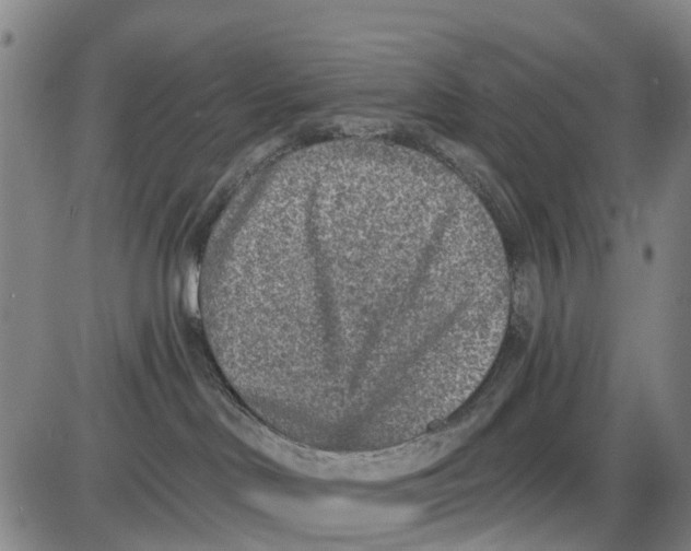 X0000085000046200703261140