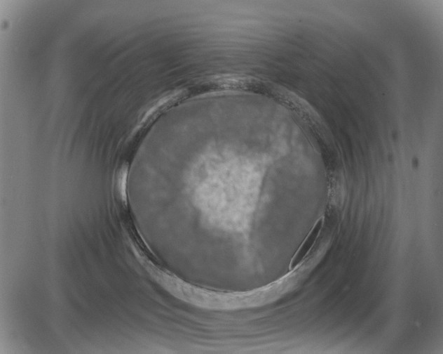 X0000085000047200703261140