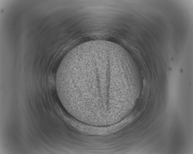 X0000085000048200703261140