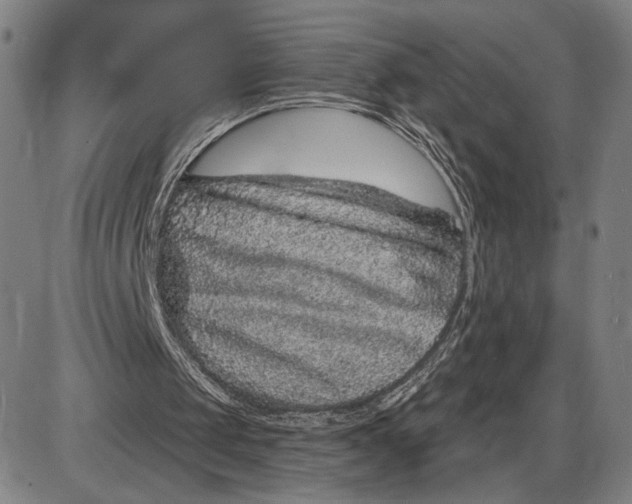 X0000085000049200703261139