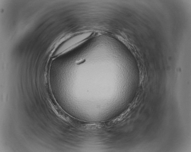 X0000085000050200703261139