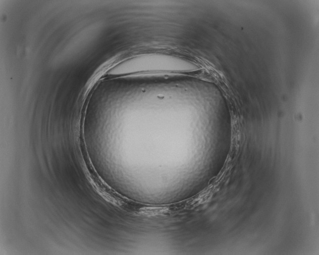 X0000085000051200703261139