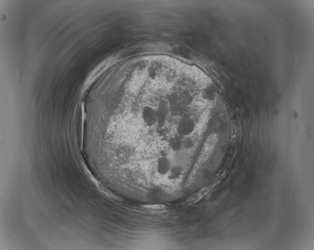 X0000085000053200703261139