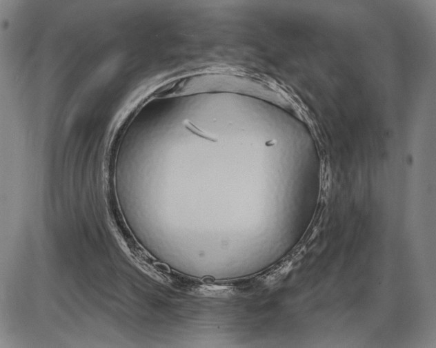 X0000085000055200703261139