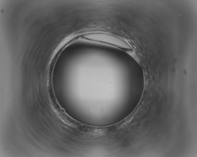 X0000085000056200703261139