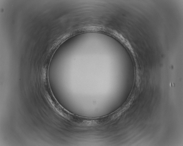 X0000085000057200703261139