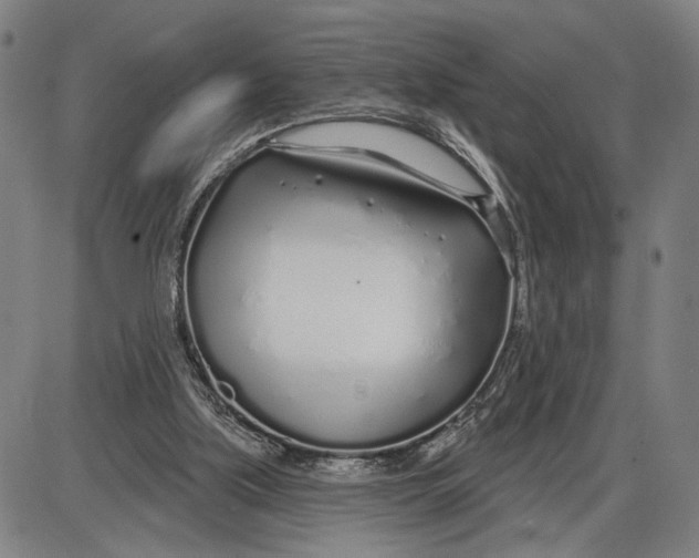 X0000085000059200703261139