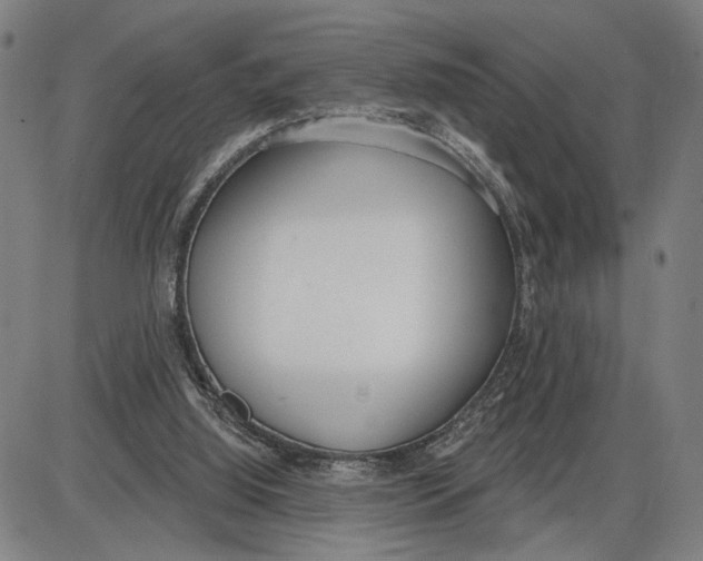 X0000085000060200703261139