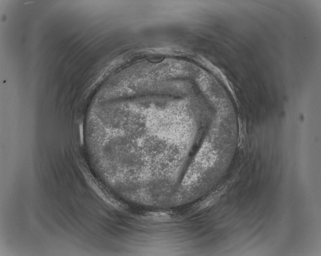 X0000085000061200703261139