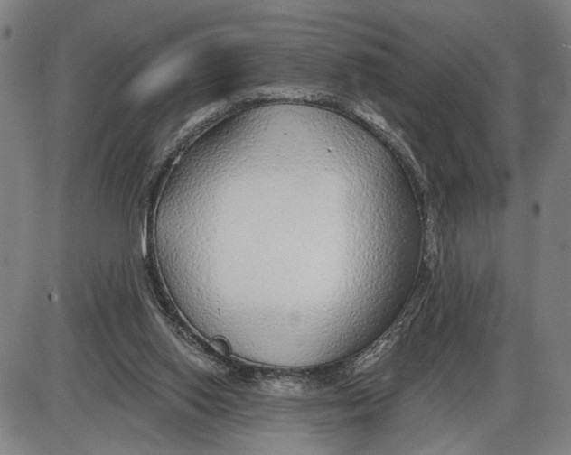 X0000085000062200703261139