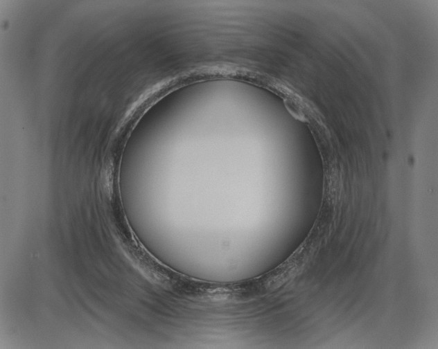 X0000085000064200703261139