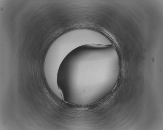 X0000085000065200703261139