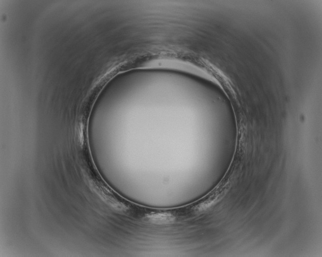 X0000085000067200703261139