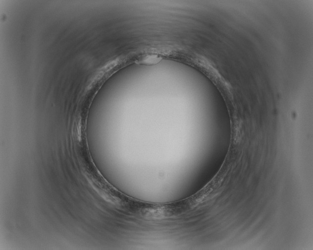 X0000085000068200703261139