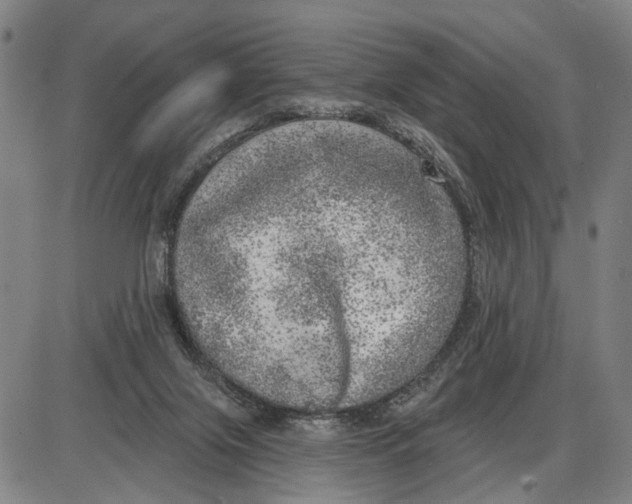 X0000085000071200703261139