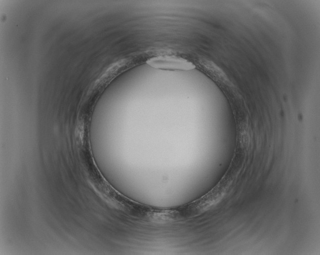 X0000085000072200703261139